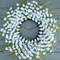 White Summer Wreath 24 Inch Artificial Summer Wreaths for Front Door Summer Floral Wreath with White Flowers Berries for Wall Porch Farmhouse Summertime Holidays